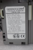 GIDDINGS & LEWIS M.1300.7372 R1 Input Module 24VDC SINK/SOURCE STOCK 636-D - Image 2