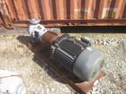 435 GPM, Flowserve #100-65CPX200, Stainless Steel Centrifugal Pump, Horizontal, CF8 Wetted Parts, 50 HP, 2008 - Image 4