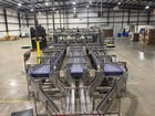 Douglas IPM, end-of-line packagin, palletizer - Image 8
