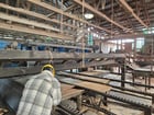 Brewco #B1600-Grade, Complete Resaw System, 16" x 16" x 16' capacity, board separator, 2014 - Image 10