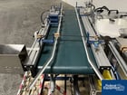 MAC #C4467-Rework-LF0518, Label Printer System, Domino coder, Optel inspection system - Image 8