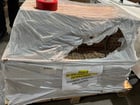 233 CFM, 104 psi, Atlas Copco #GA37-FF, Screw Compressor w/ Integrated Dryer, Tank & Parts, 50 HP - Image 8