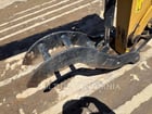 Caterpillar 307.5-07, Crawler Excavator, 832 hours, S/N: GW703722, 2023 - Image 8