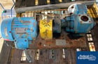 2.5" Blackmer, Rotary Vane Pump, cast iron, 5 HP, 230/460 V., explosion proof motor (3 available) - Image 1