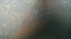 Vooner #VG40A-L, Liquid Ring Vacuum Pump, 2018 - Image 10