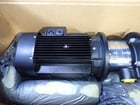 111 GPM @ 136' TDH, Grundfos #MTR20-5/2-A-WB-A-HUUV, Multi-Stage Pump, counter clock wise, 5 HP, 3461 RPM - Image 3