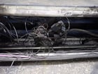 Promau #MCB-2527, Plate Bending Roll, 100", 18 HP, 460 V., 2006 - Image 7