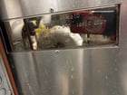Primus #PSS5, steam sterilizer, 26" x 26" x 49" chamber, 45 psi (2 available) - Image 9
