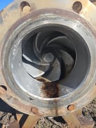 6x8-13 Goulds #3196XLT, I Frame Centrifugal Pump, 316SS (2 available) - Image 5