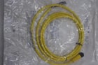 NEW Allen-Bradley Allen Bradley Bulletin QD Cordset 889D-F4AC-2 Ser. B STK GF285A - Image 1
