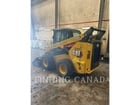 Cat 262D3, Skid Steer Loader, 1675 hours, S/N: TP403055, 2024 - Image 4
