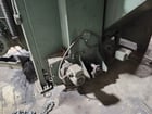 Blast Cleaning Products (BCP) #A4-6371, dual loading shot spin blaster, 74.83 HP, 93.5 amps, 1995 - Image 10