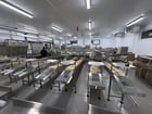 Egg Grader & Packer, Sanovo #Alpha-Grader-100, 100 cases/hour, 6-row roller conveyor infeed, 460 V., 3 Ph. - Image 1