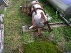 35 gallon Stainless Steel tank, on 4 Carbon Steel legs, upper and lower half of tank bolt together - Image 2