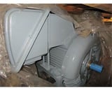 Image for 250 HP 3600 RPM Teco West, Frame 5007A, TEFC, BB, surplus, 2300/4160 V.(2 available)