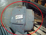 Image for 50 HP 1800 RPM Newman, Frame 365U, ODP, 575 Volts