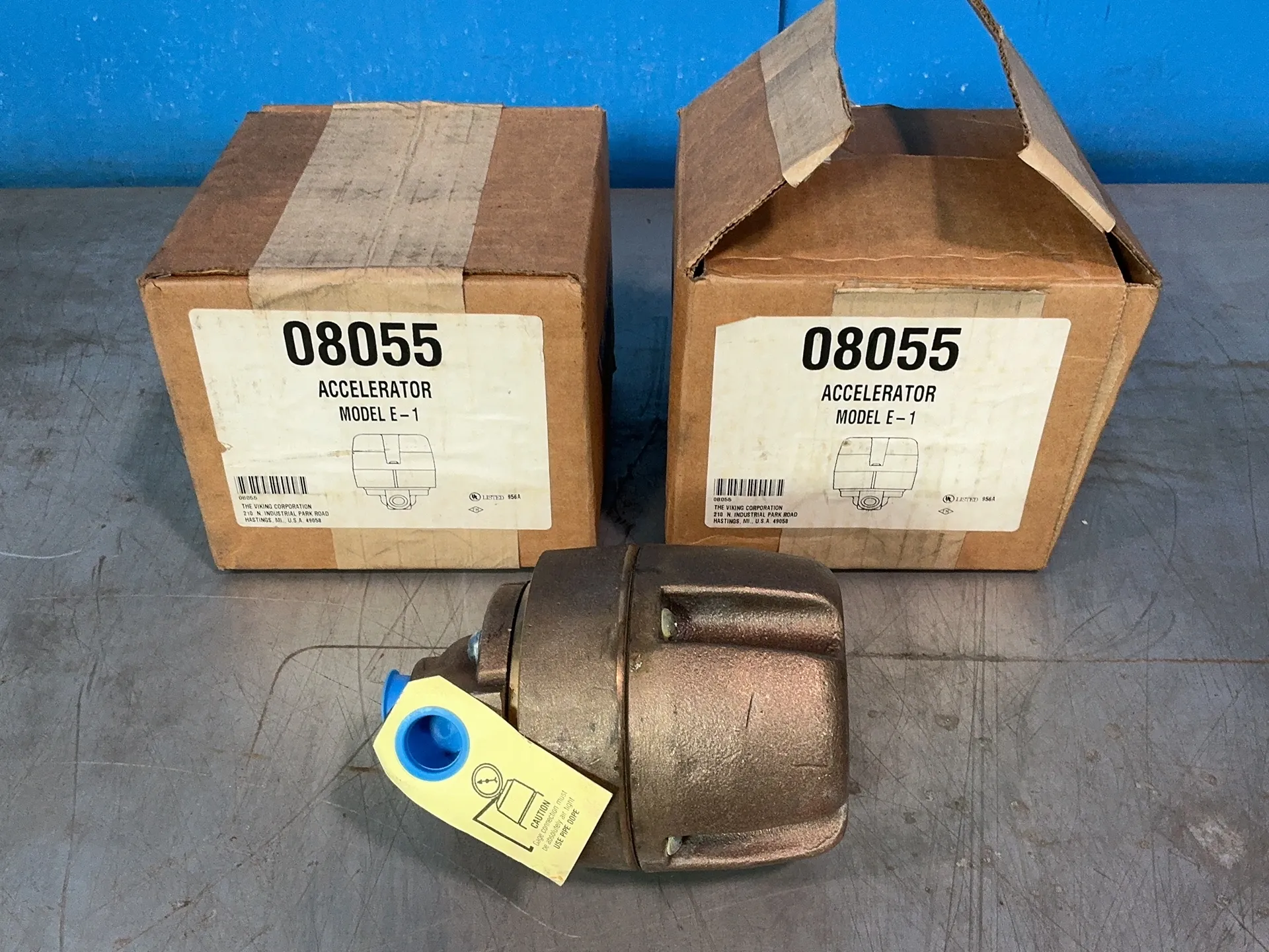 Viking #E-1-08055, Accelerators, LOT of 2