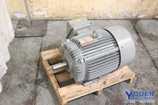 30 HP 1765 RPM Tatung, Frame 286T, TEFC, 4-pole, 230/460 Volts, #70241