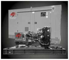 30 KW Wildcat Power Gen #Roughneck, natural gas generator, 3 phase, 2022