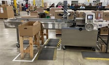 Ameripak #40, horizontal wrapper with 6' Stainless Steel lugged infeed conveyor