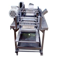 Aloe Vera Leaf Cubing Machine