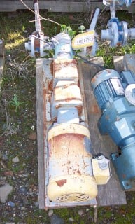 Tri-Clover #PRRED3-1S-UC6-ST-S, rotary positive displacement pump, 1 HP, 1.5" inlet/outlet