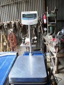 CAS #BW-150, Platform Bench Scale, 15" x 20" Pan