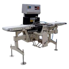 Ram Industriessey Engineering Co. #Icore-Mark-II/F25, checkweigher
