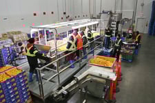 Boston Gear #700-Series, Fruit Sorting & Packaging Line 2 Conveyor Sections, (3) 1 HP, 1725 RPM,
