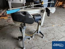 4" wide, Carton Transfer Conveyor, 115 V.