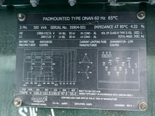 300 KVA 13860 Delta Primary, 208Y/120 Secondary, Other 3 phase, Padmount Transformer
