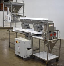 Weigh Right #IQ-SHUTTLE Linear Bulk Dribble Scale, Infeed hopper with Syntron model BF-2-B magnetic feeder