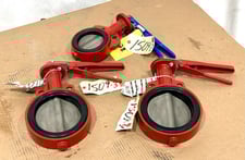 6" & 4" Bray, Butterfly Valves, Stainless Steel Stem & Disc, 250 psi, 3 Qty.