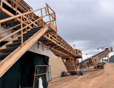 36"/42" wide x 115' long, Superior / Terranova Grasshopper conveyor, offered in multiples of 6 conveyors