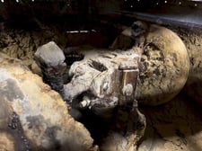 Simpson #Portamuller