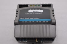 GIDDINGS & LEWIS M.1300.7372 R1 Input Module 24VDC SINK/SOURCE STOCK 646-D