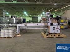 Record #PANDA, Horizontal Flow Wrapper, Carbon Steel, 220 V., 1981