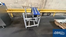 Belt Conveyor, on stand