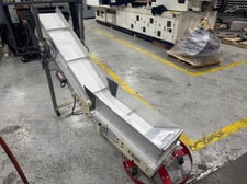 12" wide, PPE SIV Series #SIV-1206, incline conveyor, 48" incline length, 36" infeed length, 20 FPM