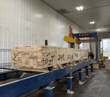 LM #Icut, Package Saw, w/ Bumper, 2017