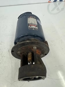 Graymills Corp. Centrifugal Pump C4T34NC2F 1/4 HP 3-Phase 60/50 Hz