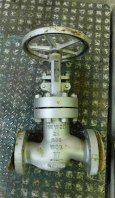 Newco #26F-CB2, Globe Valve, 2-1/2" Class 600, Flanged, Bolted Bonnet WCB, unused