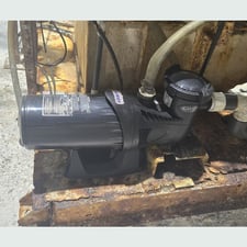 52 GPM Carvin #15SHW-5-S1, Pool Pump, single speed, 1.5 HP, 115 V. (2 available)