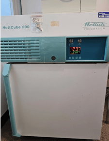 Hettich #HettCube-200, incubator 150L microbiology lab, 1°C to 65°C, low use with keys