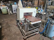 Goring Kerr #66AL, Conveyor Through Metal Detector