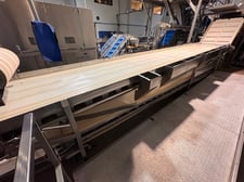 48" wide x 24' long Inspection Belt Conveyor, Stainless Steel, 3 operator stations, dual reject chutes