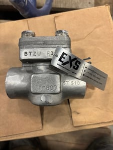 1" LVF #241599-109, Check Valve, 2025