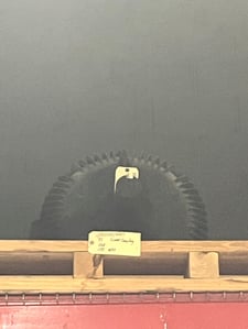 100 HP 1200 RPM Other, Frame 444T, BB, 575 Volts, Not Rebuilt