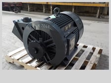 250 HP 3565 RPM Louis Allis, Frame 445TS, TEFC, 460 Volts