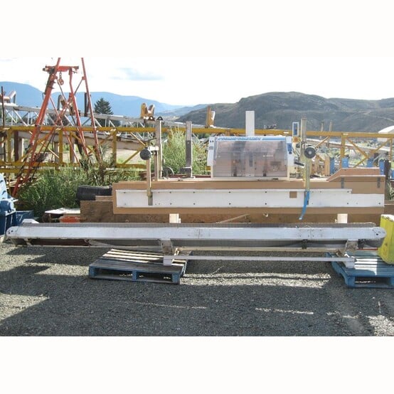 Pacepacker #1733, Top Form Bag Presenter, 172" L x 12" width conveyor, (2) 7.5" width plastic belts, 120" bag